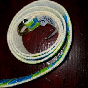 Colorful Canvas Blue Snail Belt with Green Accents, Lilly Pulitzer XL